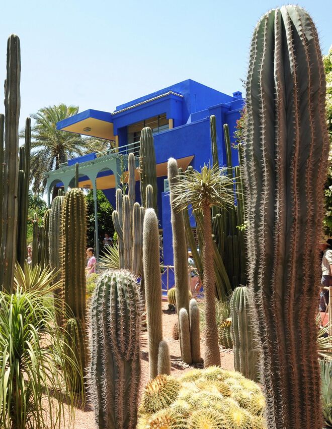 Jardins Majorelle, Marrocos