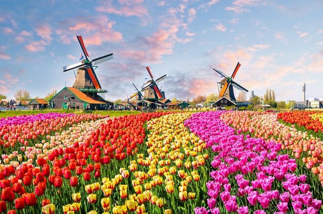 Keukenhof Park, Holanda