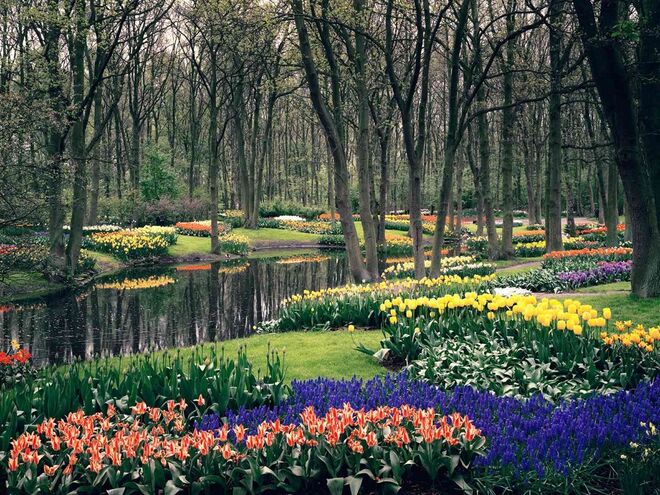 Keukenhof Park, Holanda