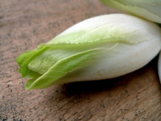 ENDÍVIA | Esta hortaliça é uma das maiores aliadas das pessoas com pele clara