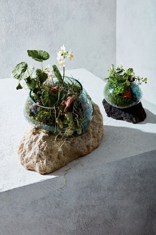 Decoração: Greenery