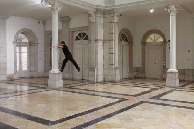 Exposição de Tomáz Hipólito no Museu Nacional de História Natural e da Ciência