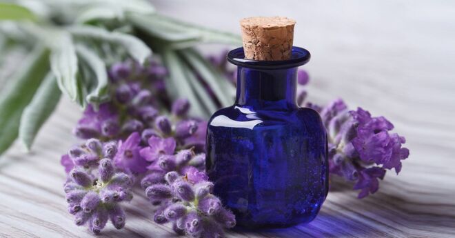 A Lavanda, por sua vez, tem virtudes preventivas e protege a fibra de cabelo.