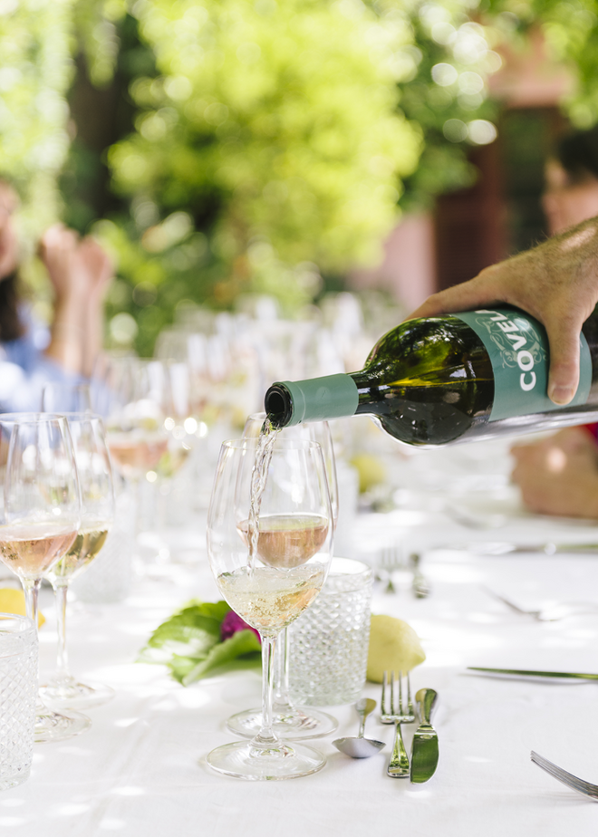 Alguns dos vinhos da Quinta de Covela