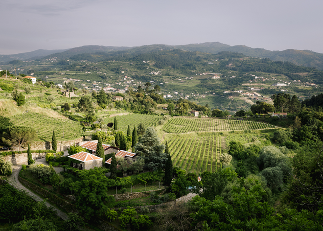 Vista da Quinta de Covela