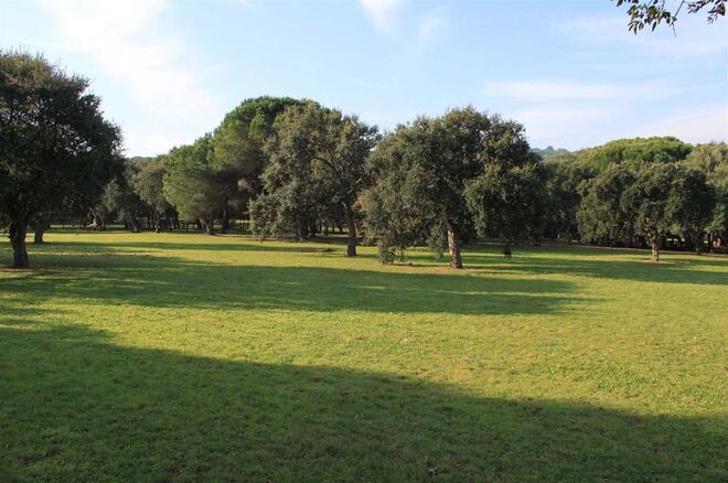 Urbano: Rota da Biodiversidade, Lisboa