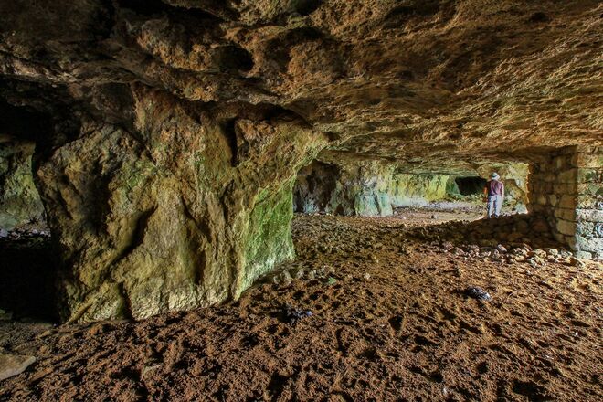 Para os mais novos: Rota dos Fósseis, Castelo Branco