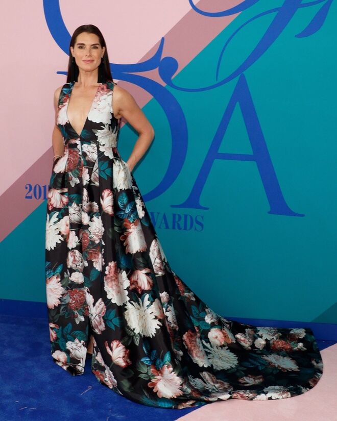 Brooke Shields, Sachin & Babi