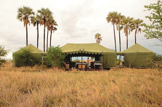 Botswana. © Luca De Santis for Jack's Camp