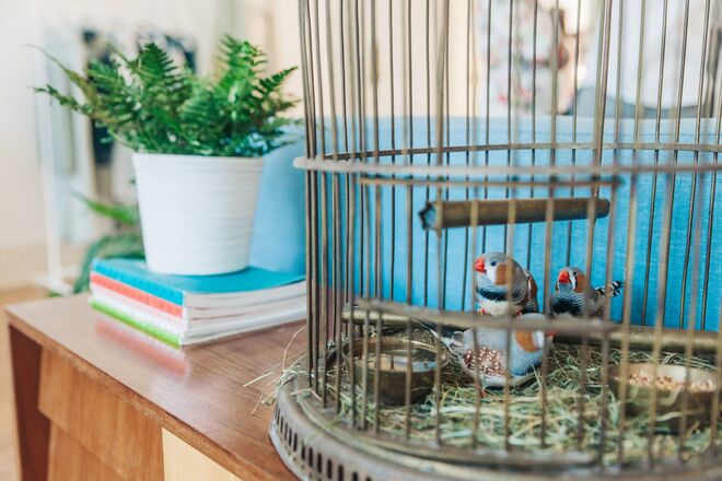 Oysho Press Day: outono/inverno 2017