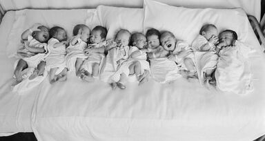 Barrigas de aluguer permitidas a partir de terça-feira