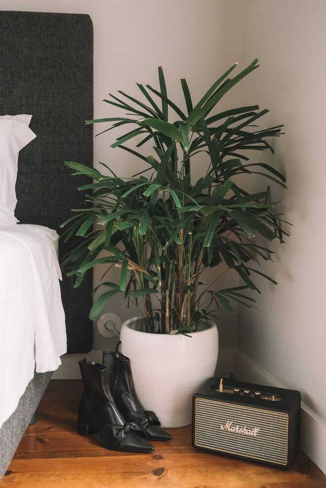 Uterqüe outono/inverno 2017