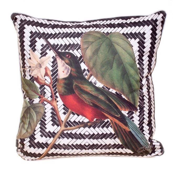 Chicô Gouveia na Casa Pau Brasil (preço sob consulta)