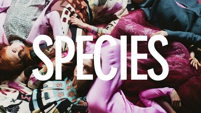 O inverno da Valentino deu um filme