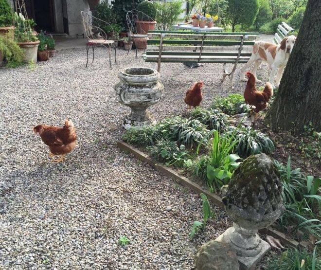 @gianmatteomalchiodi