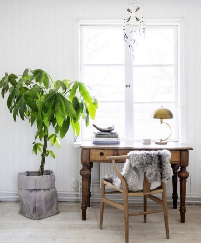 @myscandinavianhome