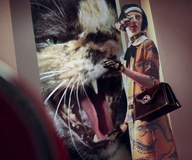 Gucci, outono-inverno 2017-18, fotografia de Glen Luchford