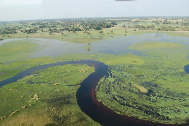 Delta do Okavango, Botsuana