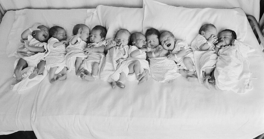 Barrigas de aluguer permitidas a partir de terça-feira