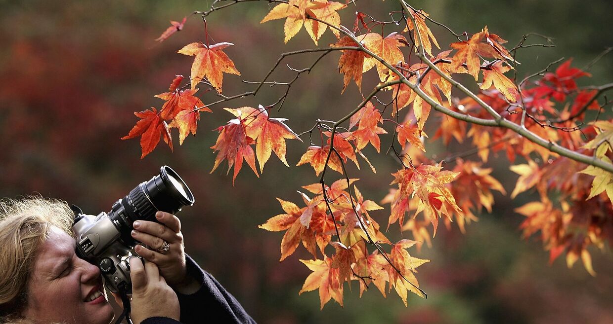A Quercus procura as melhores fotografias de 2017