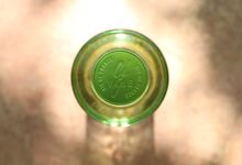 A inconfundível cor verde e a emblemática cápsula põem em evidência a personalidade única dos G'Vine
