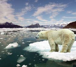 Temos apenas 5% de hipóteses de travar o aquecimento global