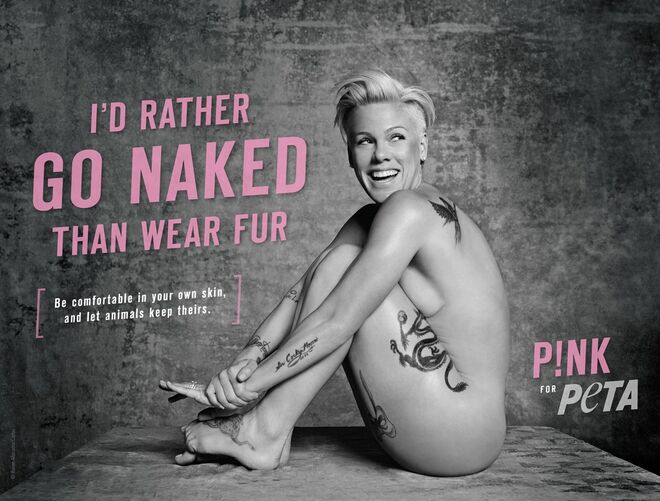 Pink, para a Peta (2015)