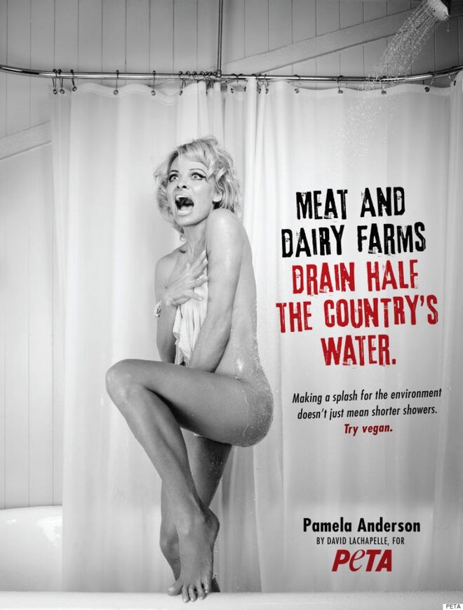 Pamela Anderson, para a Peta (2015)