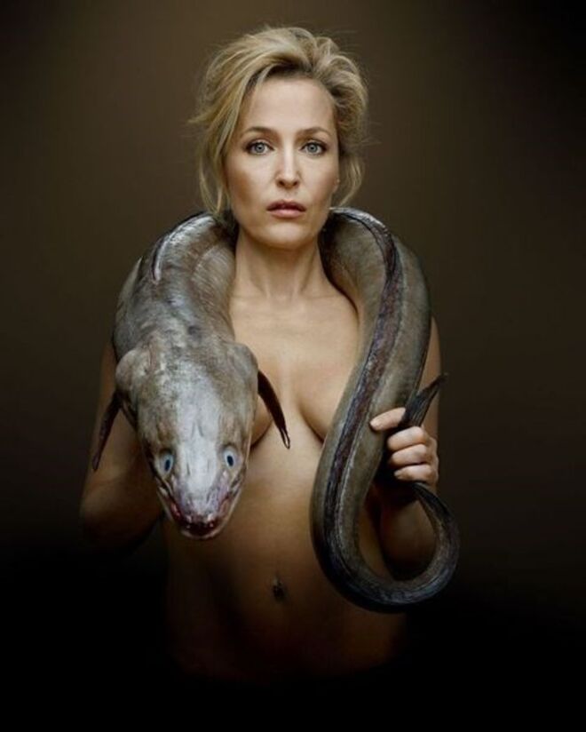 Gillian Anderson, para a Fishlove (2013)