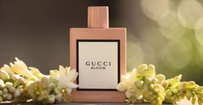 O novo perfume da Gucci já tem campanha