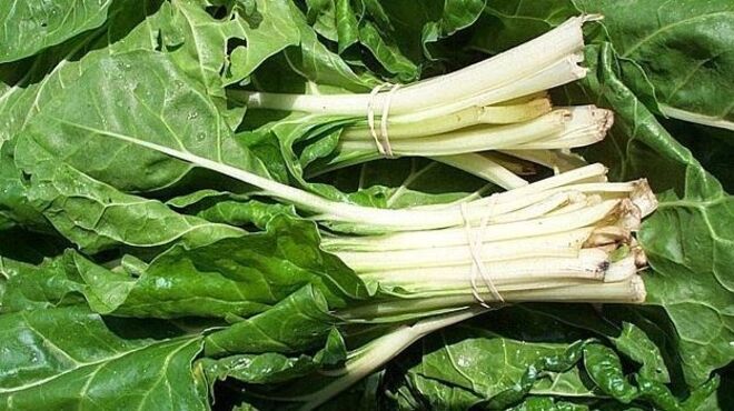 Vegetais de folhas verdes: Espinafres, acelgas, couves, algas... Todos têm ácido fólico, uma vitamina associada ao combate da depressão. 