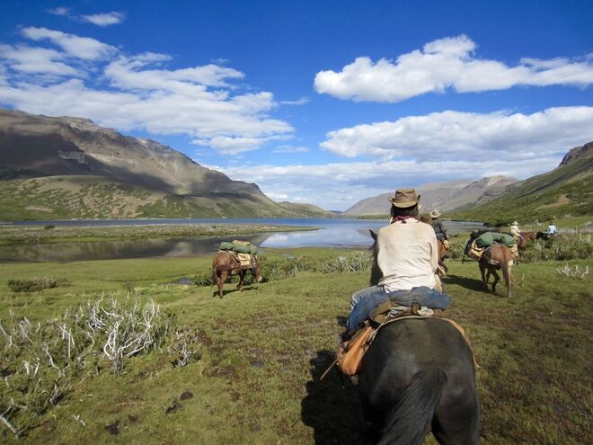 EM ESTADO SELVAGEM | Argentina