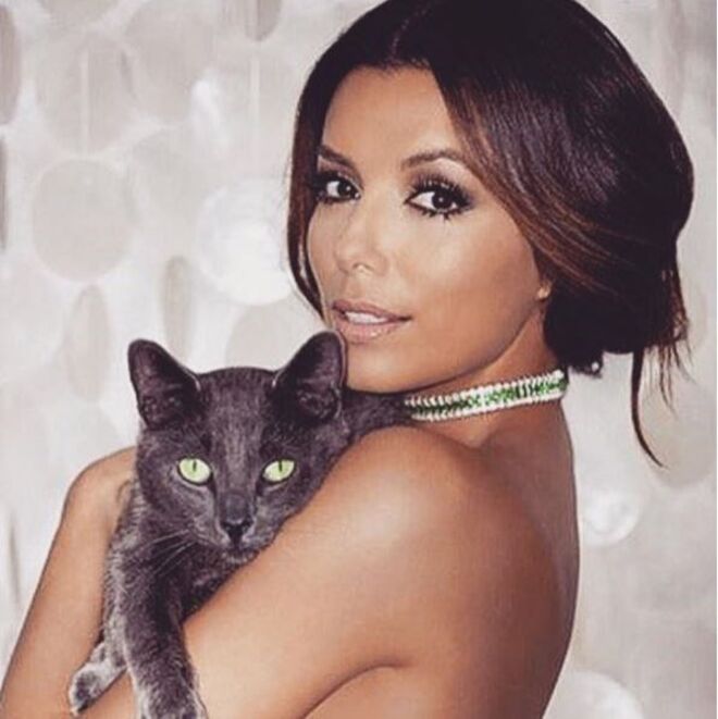 @evalongoria
