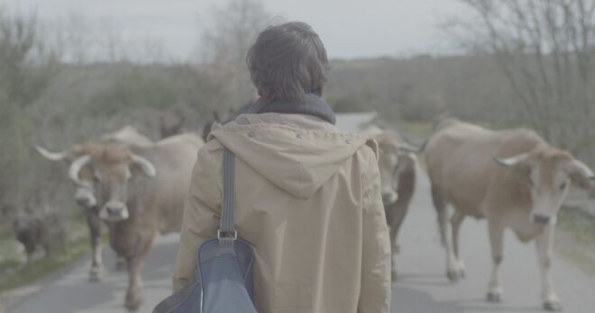 O Homem de Trás-os-Montes 