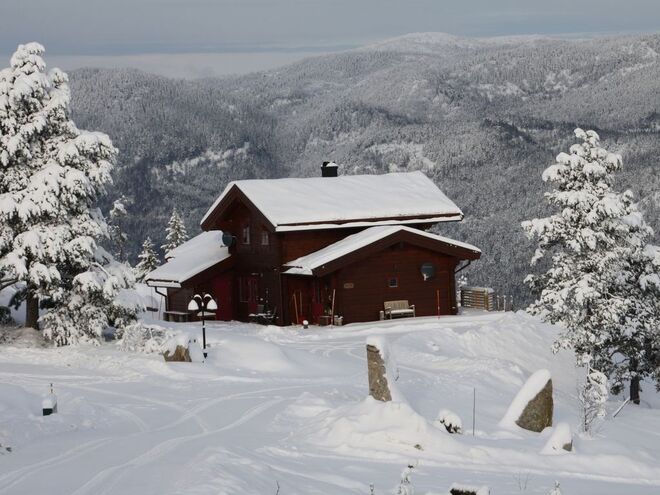 TELHADO DE RELVA | Em Telemark, na Noruega. Tem 3 quartos, 7 camas, cozinha equipada, sauna, lareira e televisão. €100/noite