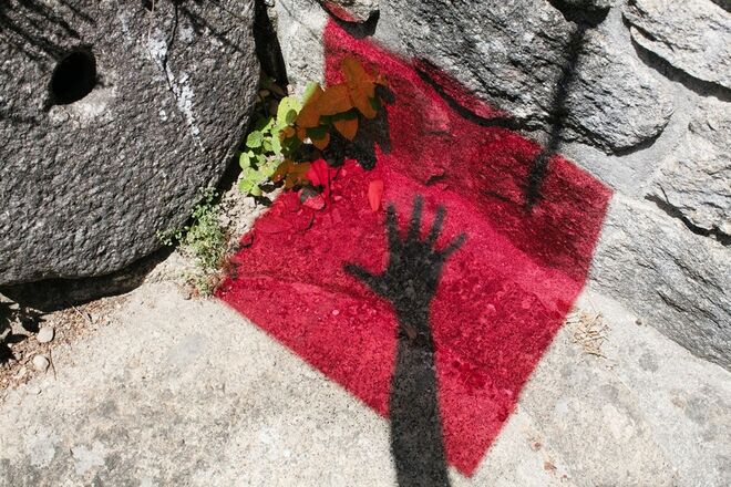 Capitão Fausto, por Matilde Travassos