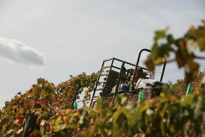 Quinta Nova da Nossa Senhora do Carmo