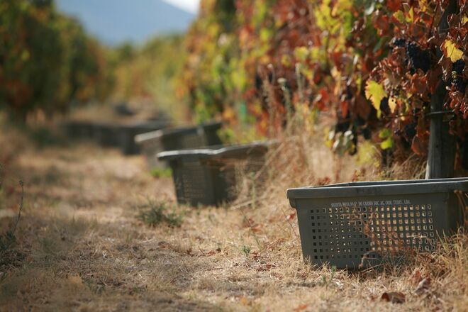 Quinta Nova da Nossa Senhora do Carmo