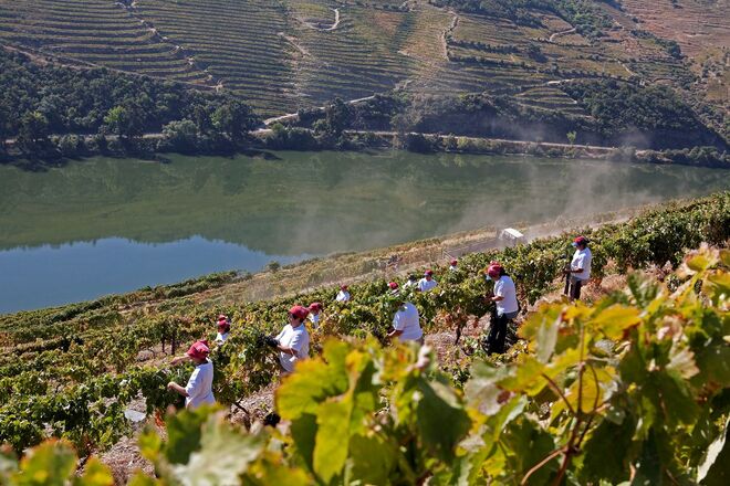 Quinta Nova da Nossa Senhora do Carmo