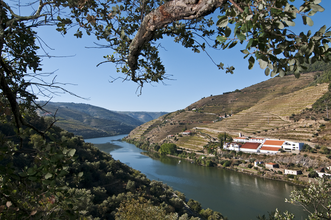 Quinta de La Rosa