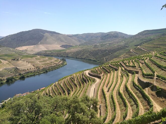 Quinta das Carvalhas