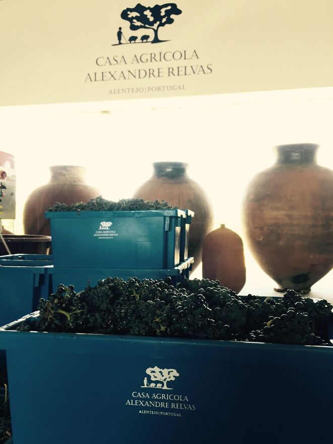 Enoturismo da Casa Agrícola Alexandre Relvas
