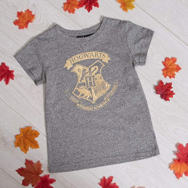 Primark lança coleção dedicada a Harry Potter