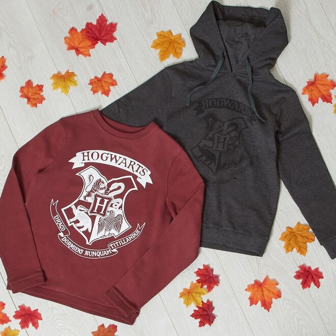 Primark lança coleção dedicada a Harry Potter