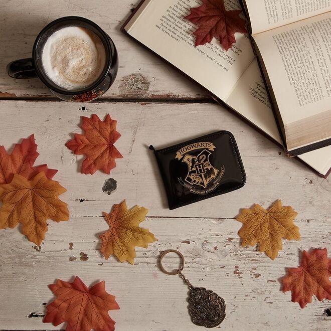 Primark lança coleção dedicada a Harry Potter