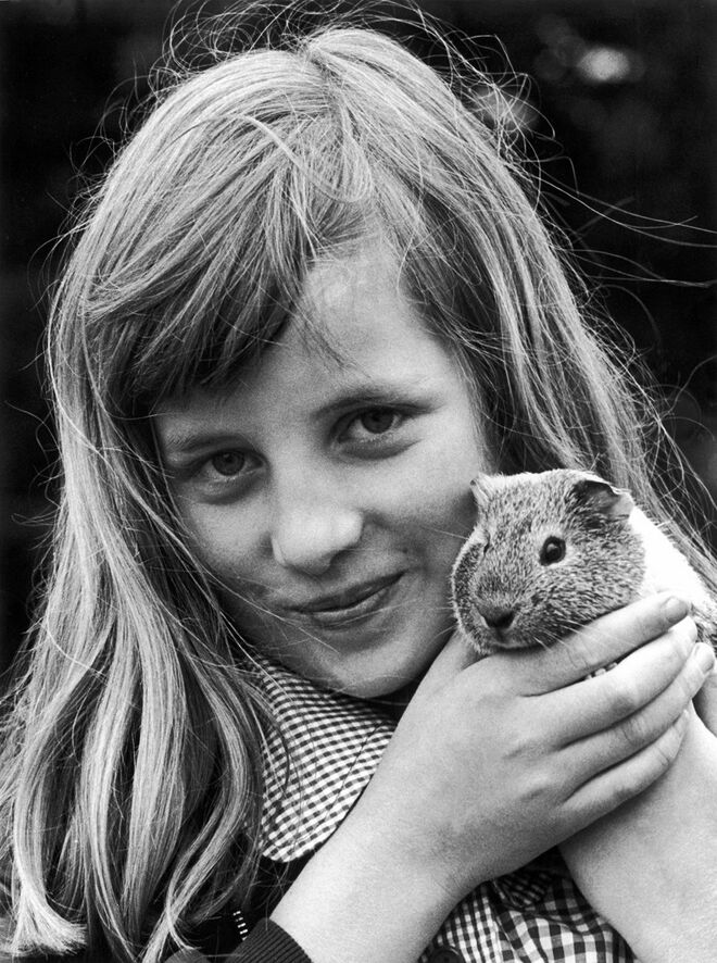 1972 | Diana cresceu rodeada de cães, gatos, hamsters, coelhos e cavalos. 