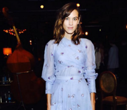 Será este um dos vestidos da colaboração entre a H&M e a Erdem?