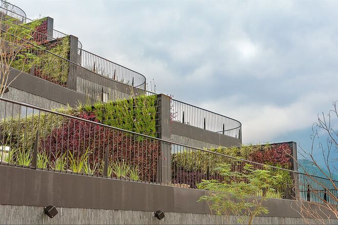 NUEVO LÉON, México 