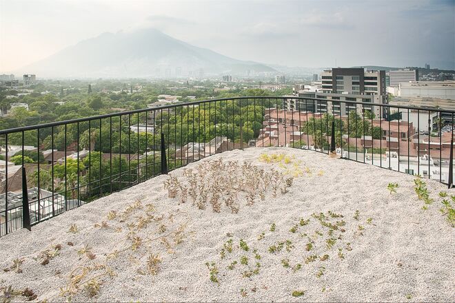 NUEVO LÉON, México 