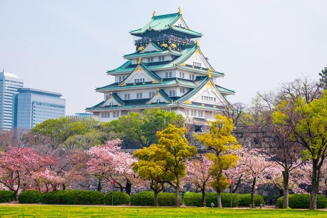 JAPÃO | Partilha de copos: Os noivos devem dar um gole de três copos diferentes que partilham com os respetivos pais. Este hábito serve para estabelecer um elo de ligação entre as duas famílias. 